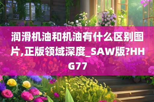 润滑机油和机油有什么区别图片,正版领域深度_SAW版?HHG77