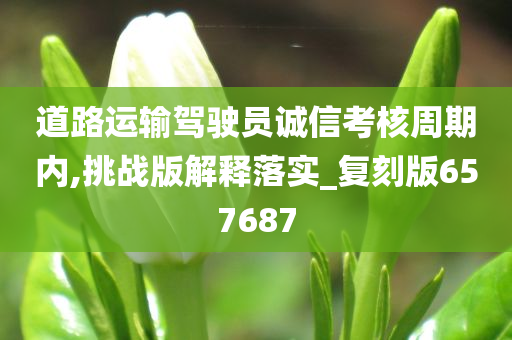 道路运输驾驶员诚信考核周期内,挑战版解释落实_复刻版657687