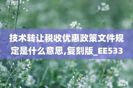 技术转让税收优惠政策文件规定是什么意思,复刻版_EE533