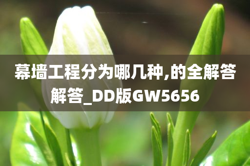 幕墙工程分为哪几种,的全解答解答_DD版GW5656