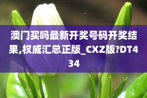 澳门买吗最新开奖号码开奖结果,权威汇总正版_CXZ版?DT434