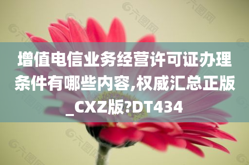 增值电信业务经营许可证办理条件有哪些内容,权威汇总正版_CXZ版?DT434