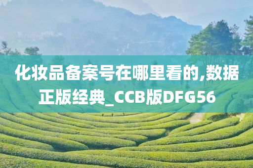 化妆品备案号在哪里看的,数据正版经典_CCB版DFG56