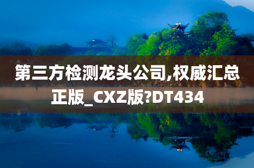 第三方检测龙头公司,权威汇总正版_CXZ版?DT434