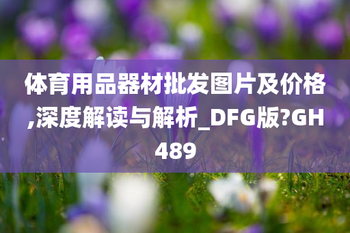 体育用品器材批发图片及价格,深度解读与解析_DFG版?GH489