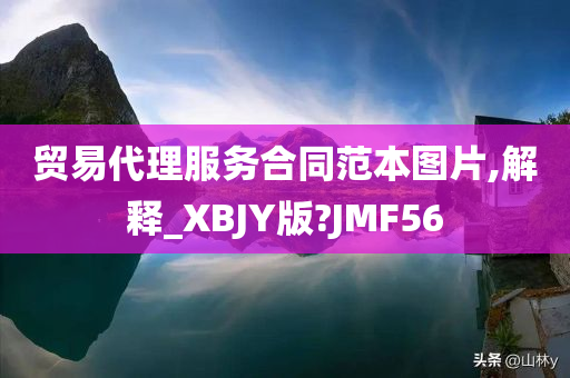 贸易代理服务合同范本图片,解释_XBJY版?JMF56