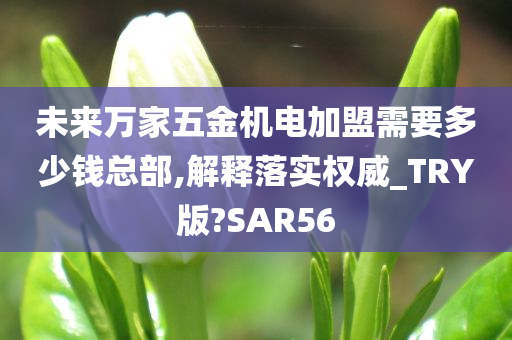 未来万家五金机电加盟需要多少钱总部,解释落实权威_TRY版?SAR56