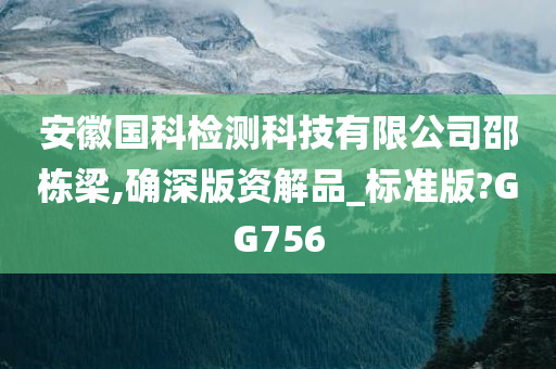 安徽国科检测科技有限公司邵栋梁,确深版资解品_标准版?GG756