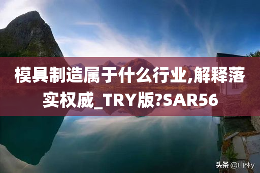 模具制造属于什么行业,解释落实权威_TRY版?SAR56