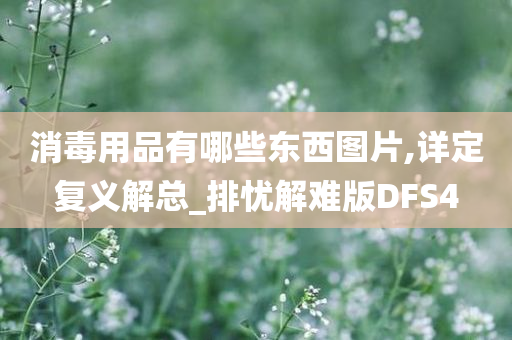 消毒用品有哪些东西图片,详定复义解总_排忧解难版DFS4