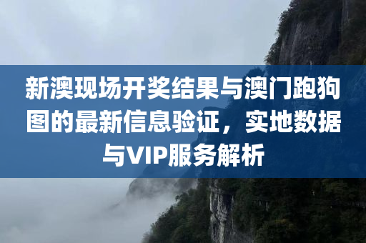 新澳现场开奖结果与澳门跑狗图的最新信息验证，实地数据与VIP服务解析