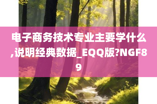 电子商务技术专业主要学什么,说明经典数据_EQQ版?NGF89