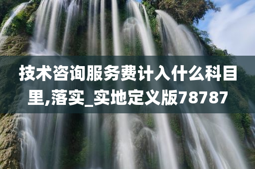 技术咨询服务费计入什么科目里,落实_实地定义版78787