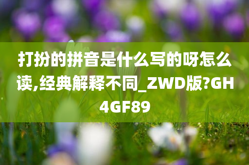 打扮的拼音是什么写的呀怎么读,经典解释不同_ZWD版?GH4GF89