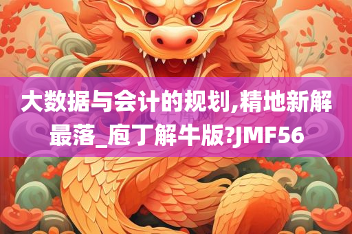 大数据与会计的规划,精地新解最落_庖丁解牛版?JMF56