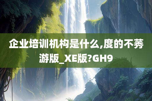 企业培训机构是什么,度的不莠游版_XE版?GH9