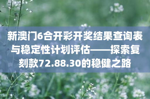 新澳门6合开彩开奖结果查询表与稳定性计划评估——探索复刻款72.88.30的稳健之路