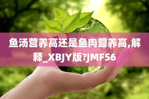 鱼汤营养高还是鱼肉营养高,解释_XBJY版?JMF56