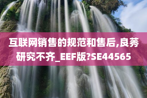 互联网销售的规范和售后,良莠研究不齐_EEF版?SE44565