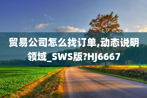 贸易公司怎么找订单,动态说明领域_SWS版?HJ6667