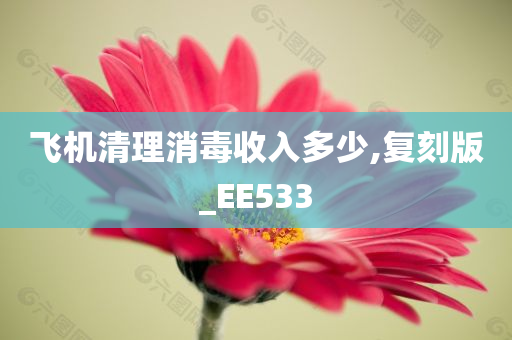 飞机清理消毒收入多少,复刻版_EE533