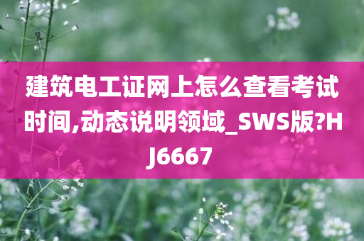 建筑电工证网上怎么查看考试时间,动态说明领域_SWS版?HJ6667