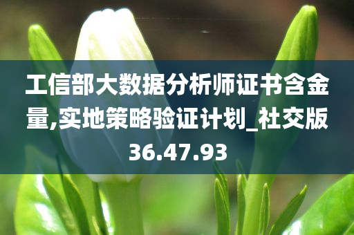 工信部大数据分析师证书含金量,实地策略验证计划_社交版36.47.93