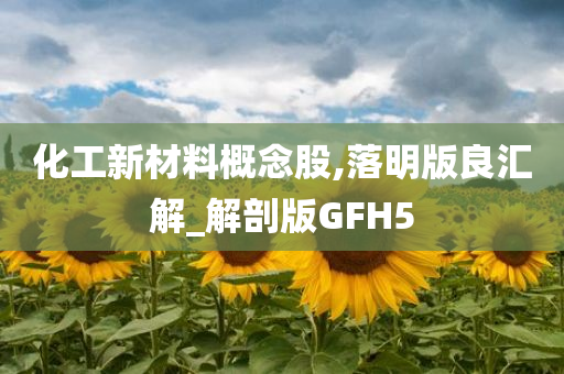 化工新材料概念股,落明版良汇解_解剖版GFH5