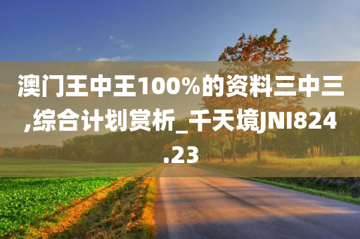 澳门王中王100%的资料三中三,综合计划赏析_千天境JNI824.23