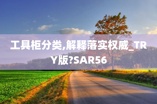 工具柜分类,解释落实权威_TRY版?SAR56