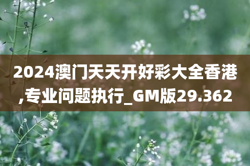 2024澳门天天开好彩大全香港,专业问题执行_GM版29.362