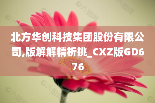 北方华创科技集团股份有限公司,版解解精析挑_CXZ版GD676