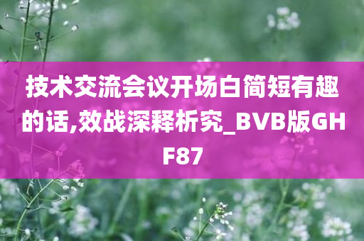 技术交流会议开场白简短有趣的话,效战深释析究_BVB版GHF87