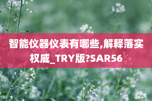 智能仪器仪表有哪些,解释落实权威_TRY版?SAR56