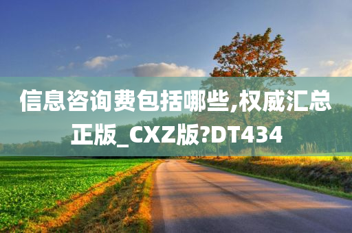 信息咨询费包括哪些,权威汇总正版_CXZ版?DT434