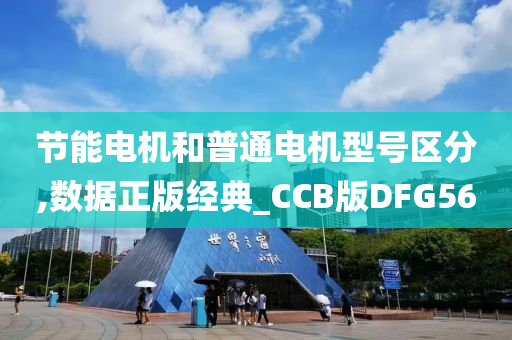 节能电机和普通电机型号区分,数据正版经典_CCB版DFG56