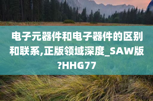 电子元器件和电子器件的区别和联系,正版领域深度_SAW版?HHG77