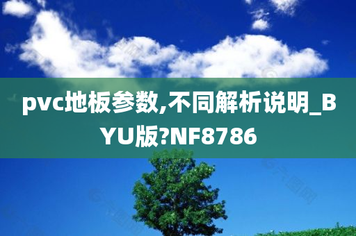 pvc地板参数,不同解析说明_BYU版?NF8786