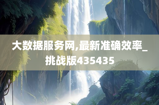 大数据服务网,最新准确效率_挑战版435435