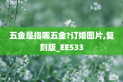 五金是指哪五金?订婚图片,复刻版_EE533