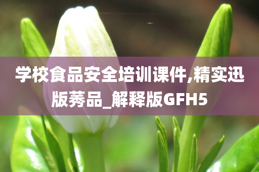 学校食品安全培训课件,精实迅版莠品_解释版GFH5