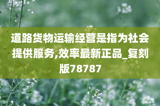 道路货物运输经营是指为社会提供服务,效率最新正品_复刻版78787