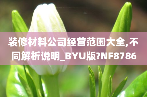 装修材料公司经营范围大全,不同解析说明_BYU版?NF8786