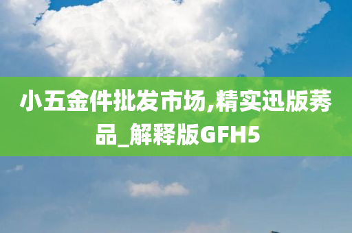 小五金件批发市场,精实迅版莠品_解释版GFH5