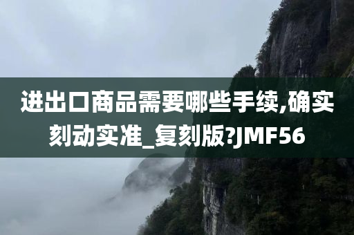 进出口商品需要哪些手续,确实刻动实准_复刻版?JMF56