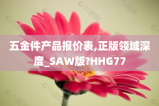 五金件产品报价表,正版领域深度_SAW版?HHG77