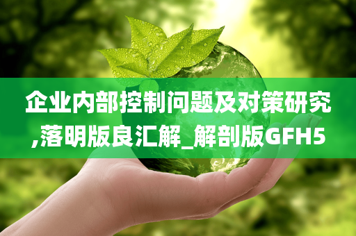 企业内部控制问题及对策研究,落明版良汇解_解剖版GFH5