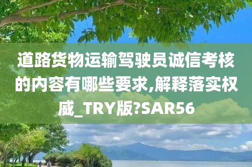 道路货物运输驾驶员诚信考核的内容有哪些要求,解释落实权威_TRY版?SAR56