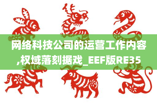 网络科技公司的运营工作内容,权域落刻据戏_EEF版RE35