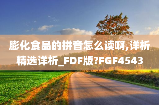 膨化食品的拼音怎么读啊,详析精选详析_FDF版?FGF4543